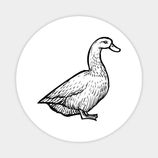 Duck Hand Drawn Magnet